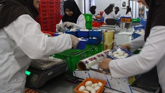 انجمن پرورشدهندگان قارچ: با بالا رفتن قیمت گوشت مردم کسری پروتئین را با قارچ پر میکنند