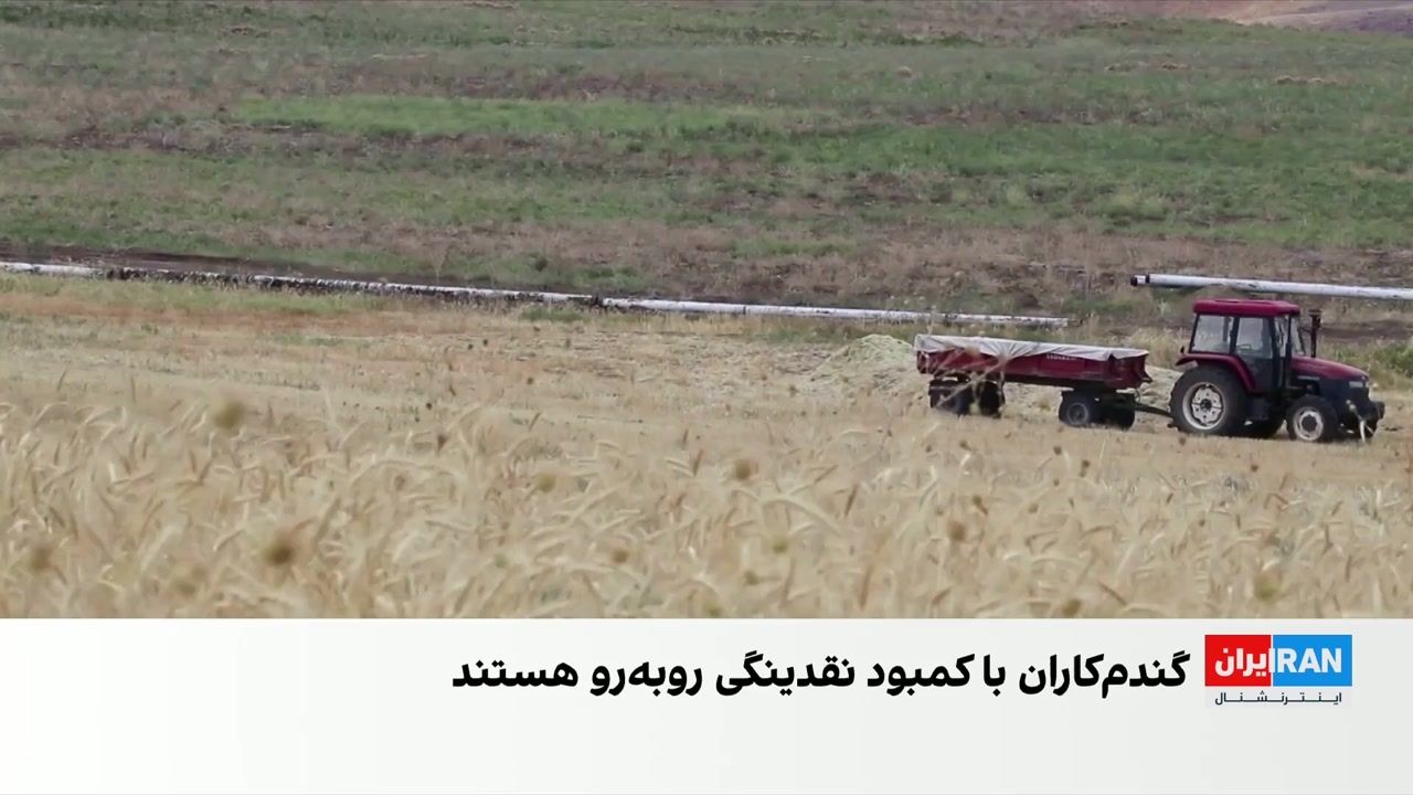 آغاز فصل تازه کشت گندم در ایران با مطالبات پرداخت‌نشده کشاورزان