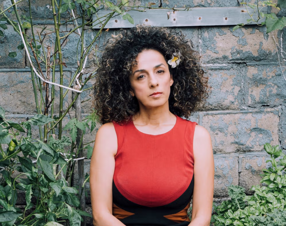 دادگستری آمریکا: عامل طرح ترور مسیح علی‌نژاد به ۱۵ سال زندان محکوم شد