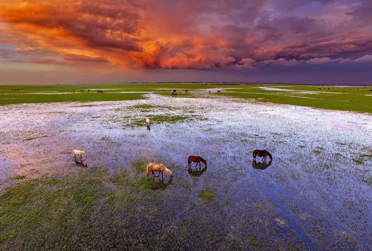 A file photo of Bojagh wetland in Gilan province  
