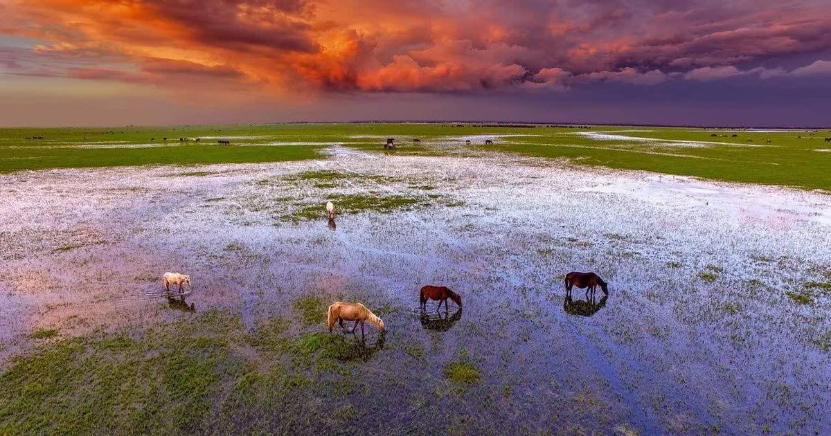 Iran’s wetlands shrink as drought reaches worst level in two decades