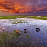 Iran’s wetlands shrink as drought reaches worst level in two decades