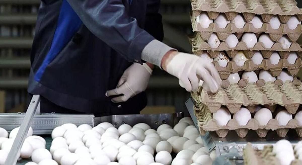 File Photo: A worker sorts fresh eggs at a factory in Iran