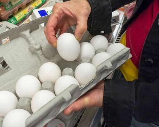 مقام صنفی: اگر ارز دولتی از نهاده دامی حذف شود، قیمت شانه تخممرغ ۱۱۰ هزار تومان میشود