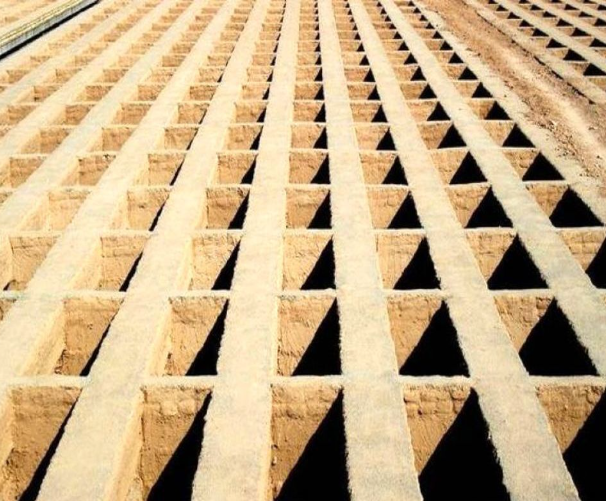 مدیرعامل بهشت زهرا: سربازان آمریکایی در خارج از تهران دفن می‌شوند