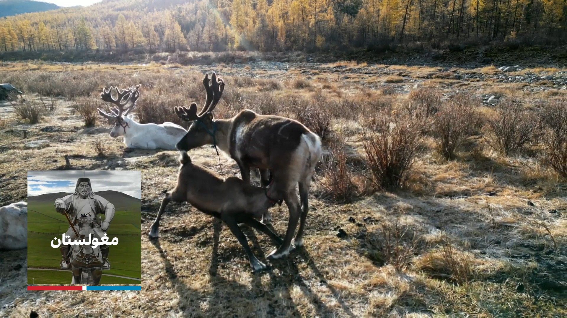 مغولستان - شکارچی‌ها