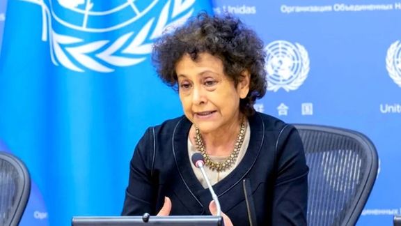 کارشناس سازمان ملل: تهران خبرنگاران ایرانی خارج کشور را سرکوب میکند