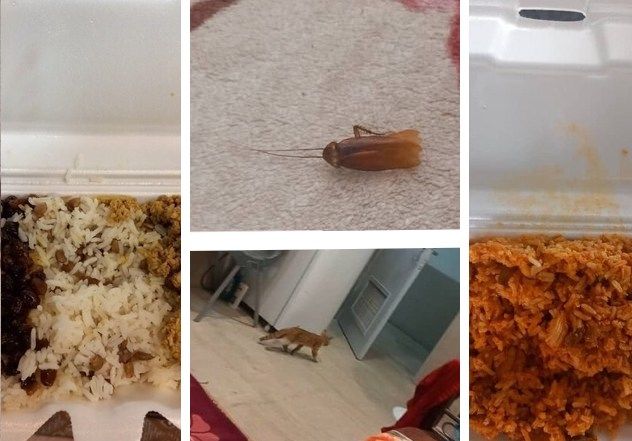 اخراج رکورددار پرتاب نیزه ایران از خوابگاه به‌دلیل انتشار تصاویری از حضور سوسک و گربه