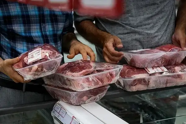 سازمان دامپزشکی: مجوزی برای عرضه گوشت اسب و الاغ ندادهایم
