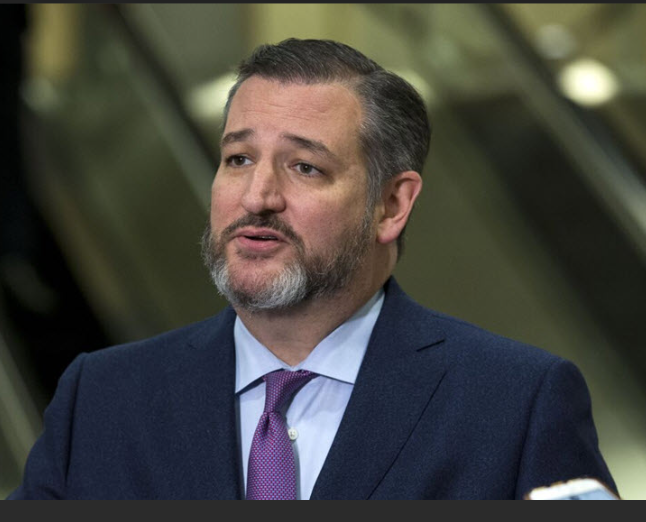 تيد كروز: الهدف النهائي للعمليات هو إزاحة النظام الإيراني من السلطة