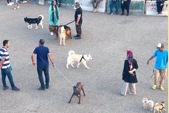 در ایران نیز جمهوری اسلامی به دنبال برخورد با سگها و صاحبان آن است