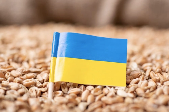 پایان توافق صادرات غلات اوکراین؛ روسیه از برداشتن تضمینهای امنیتی در دریای سیاه خبر داد