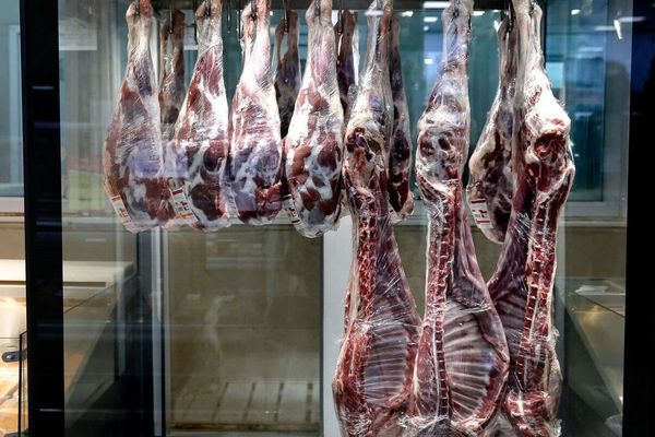 انجمن صنفی تامینکنندگان گوشت خام: مصرف سرانه گوشت قرمز در ایران کمتر از یک کیلو است