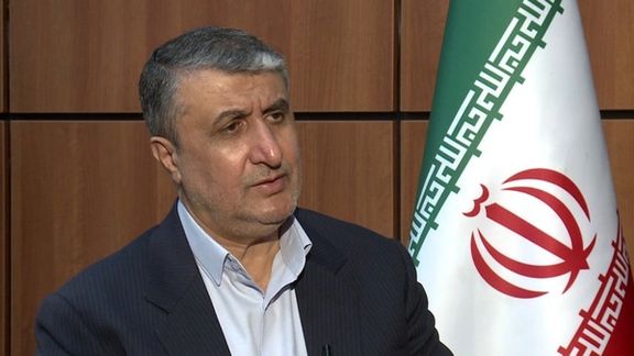 سازمان انرژی اتمی: نمایندگان آژانس احتمالا درباره سایتهای مشکوک به تهران بیایند