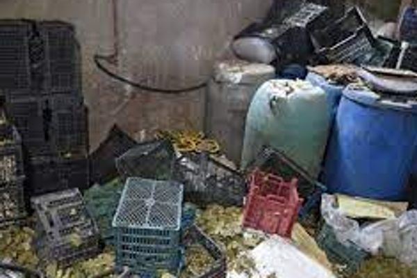 كشف آلاف اللترات من عصير العنب في سوق طهران.. كان الهدف تبديلها لمشروب