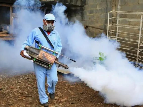 ثبت ۱۴۹ مورد ابتلا به تب دنگی؛ وزارت بهداشت: دیر یا زود اپیدمی میشود