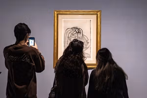 Internet Pro or Censor Pro? Iran rolls out a new service