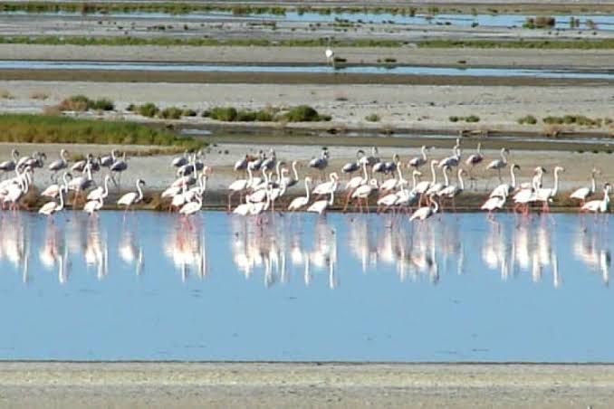 A file photo of Gavkhuoni wetland 