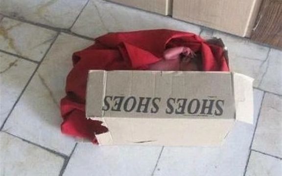 نوزاد تازه متولدشده در یک جعبه کفش در زاهدان پیدا شد