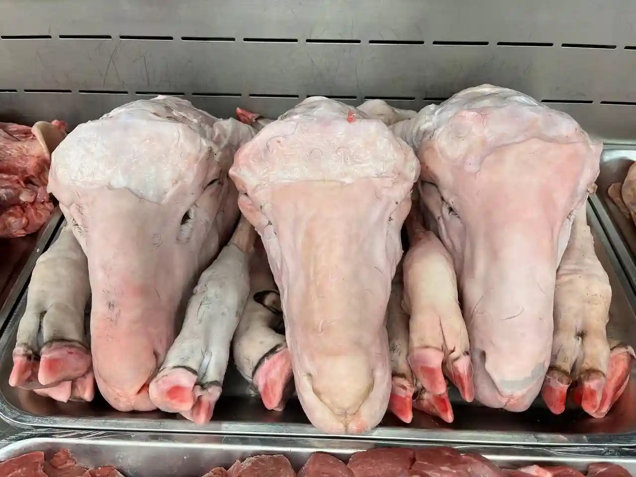  مدیرکل تعزیرات حکومتی اصفهان: ۱۰ تن کله‌پاچه فاسد در یک انبار غیرمجاز کشف شد