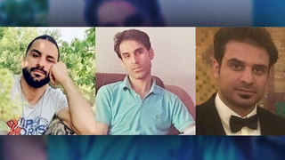 برادران افکاری، سه متهم سیاسی و یک پرونده قتل؛ خبرگزاری میزان دروغ میگوید