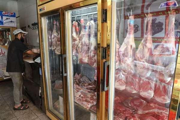 رییس شورای تامین دام: مردم دیگر توان خرید گوشت قرمز را ندارند