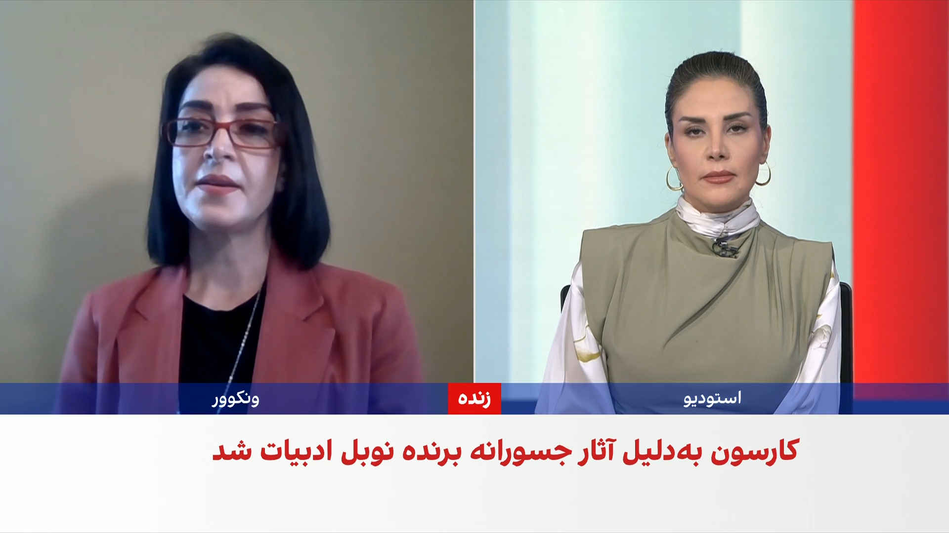لیلا صادقی: آن کارسون از شعر به‌عنوان امکانی برای اندیشیدن بهره می‌گیرد