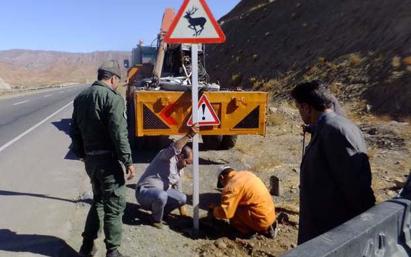 روزنامه همشهری: سالانه حدود ۸۰ هزار گونه حیاتوحش ایران در جادهها از بین میروند