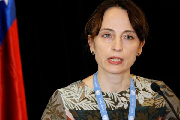Controversial UN Rapporteur Calls For Unfreezing Iran Assets