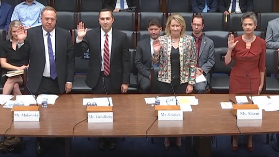 Expert witnesses at the session of the Subcommittee on National Security, the Border, and Foreign Affairs titled A Dangerous Strategy: Examining the Biden Administration’s Failures on Iran on September 13, 2023