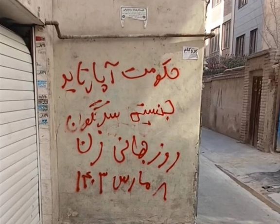 ۳۰ سازمان حقوق بشری خواستار پایان یافتن تبعیض علیه زنان در ایران شدند