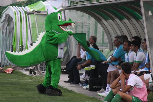 ۲۳۰ میلیارد تومان افزایش سرمایه اولیه، تنها راهکار باشگاه ذوبآهن برای فرار از انحلال