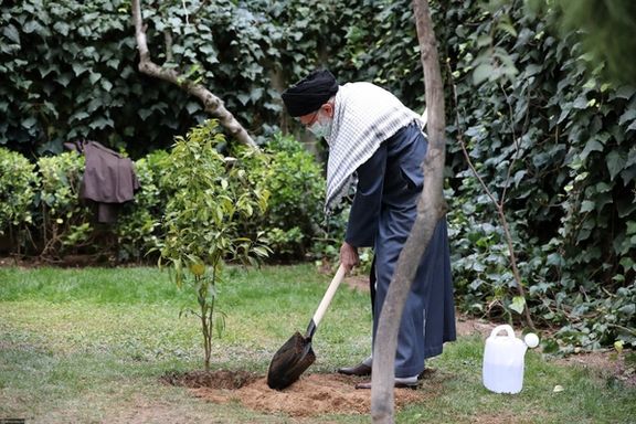 Iran's Supreme Leader Ali Khamenei planting a tree on Sunday.