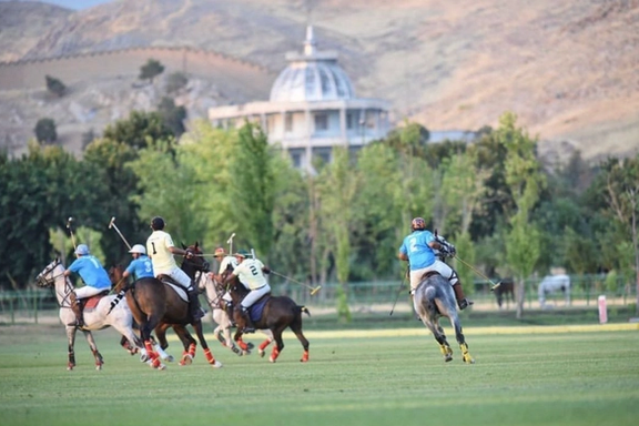 پاسخ دولتی به مسمومیت اسبها در قصرفیروزه؛ علوفه مرغوب بود، وگرنه ۲۷۰ اسب مسموم میشدند