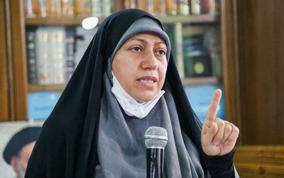 رییس فراکسیون جمعیت مجلس: هر خانواده حداقل سه تا پنج فرزند به دنیا بیاورد