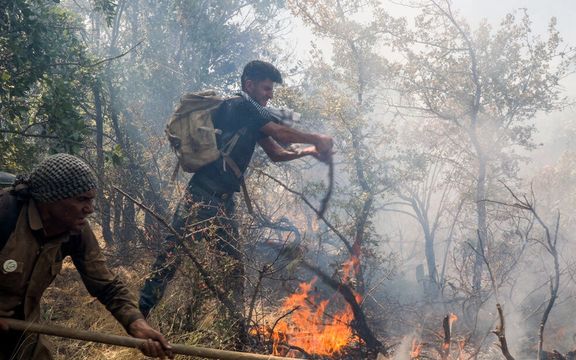 فعال محیط زیست استان فارس: آتشسوزی جنگلهای زاگرس عمدی و دلیل آن نیز نابودی جنگل است