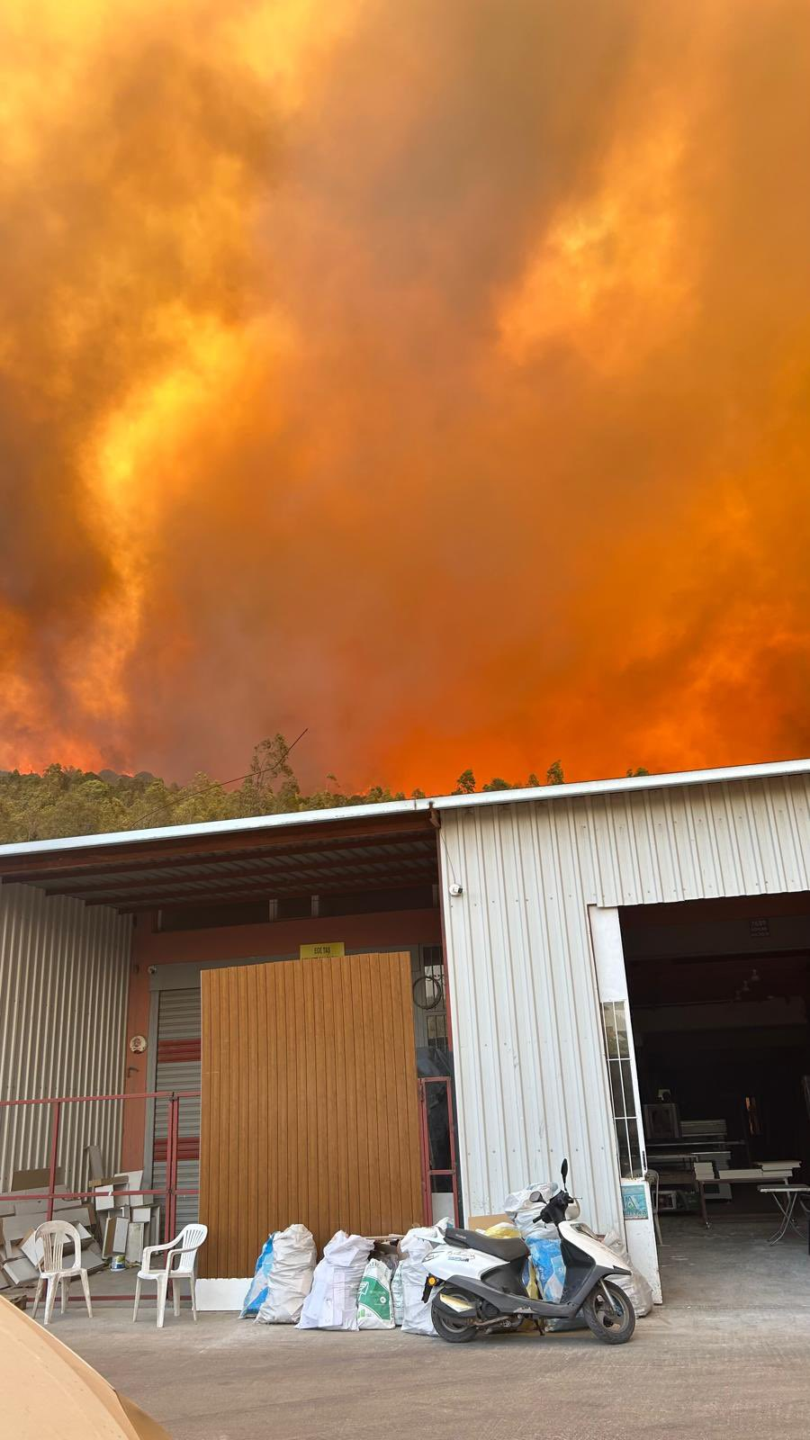 آتش‌سوزی گسترده در جنگل‌های ازمیر ترکیه ۷۸ مصدوم بر جا گذاشت