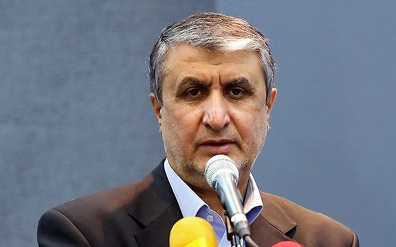 رییس سازمان انرژی اتمی: آژانس برای جمهوری اسلامی مزاحمت ایجاد کرده است