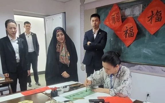 معاون پزشکیان برای تبادل تجربیات با چین در حوزه کودک و خانواده اعلام آمادگی کرد