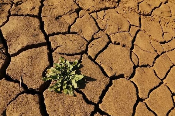 عضو شورای شهر مشهد: اوضاع آبی مشهد بسیار بد است، یکی از سدها کاملا خشک شده است