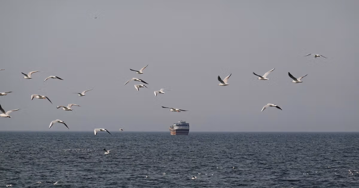 China presses Iran to keep Hormuz open as Asian buyers brace for LNG shortfalls