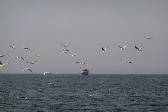 Birds fly near a boat in the Strait of Hormuz amid the US-Israeli conflict with Iran, as seen from Musandam, Oman, March 2, 2026.