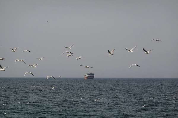 China presses Iran to keep Hormuz open as Asian buyers brace for LNG shortfalls