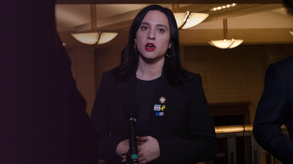 عضو ایرانیتبار کنگره آمریکا با ارائه «قانون آرتمیس» خواستار توقف اخراج پناهجویان مذهبی شد