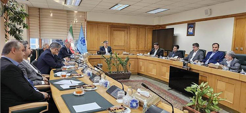 صندوق ضمانت سپرده‎‌‌ها کمیته مسئول اجرای فرایند گزیر بانک آینده را منصوب کرده، اما روشن نیست با توجه به تجربه شکست خورده فروش ایرانمال، منابع این نهاد برای پرداخت بدهی های انصاری و زیان انباشته آن چیست. 