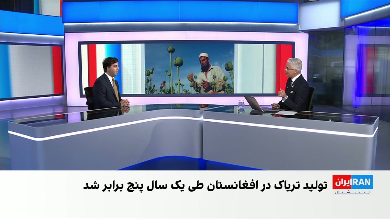 سازمان ملل از پنج برابر شدن تولید تریاک در افغانستان خبر داد