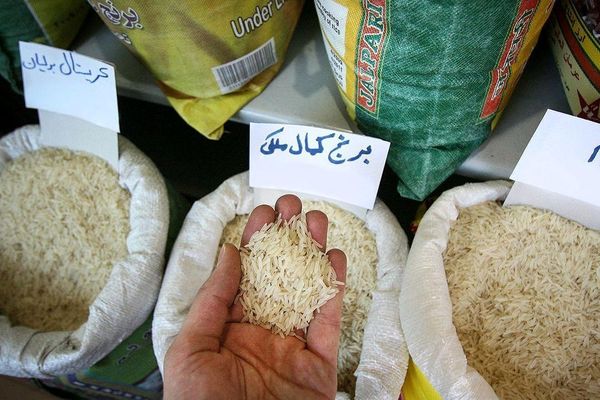 أسعار الأرز تتضاعف في إيران.. ومحتكرون يسيطرون على السوق وسط فساد حكومي