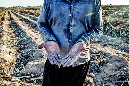 برگزاری اولین روز تجمع اعتراضی در هفتتپه؛ حمایت کارگران ۱۰ کشور از خیزش انقلابی در ایران