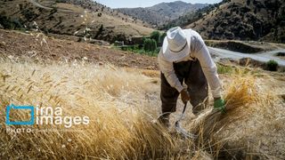 Iranian government considers subsidy cuts despite rising poverty