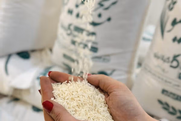 افزایش افسارگسیخته قیمت اقلام ضروری؛ یک دانه برنج ۸۰ هزار تومان